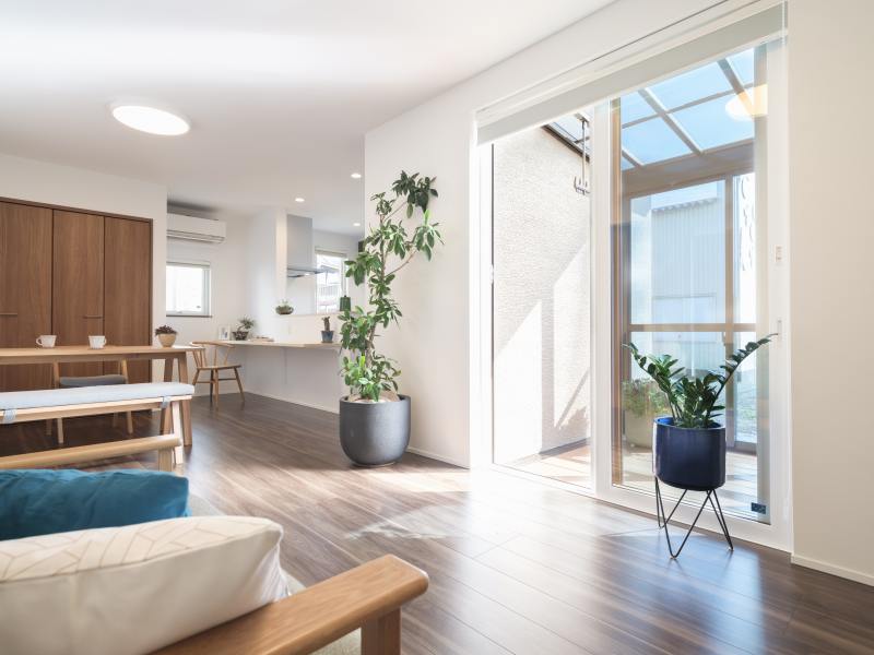 AdobeStock_528949934